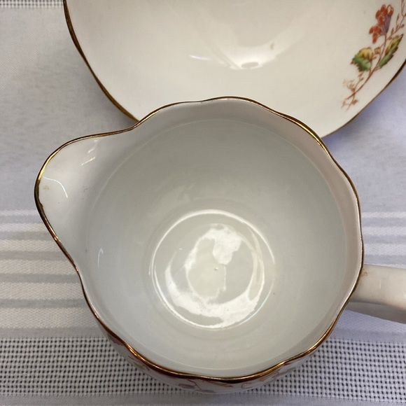 Rare Royal Albert sugar and cream set vintage “Virginia” - Picture 6 of 16